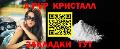 сатива Кингисепп
