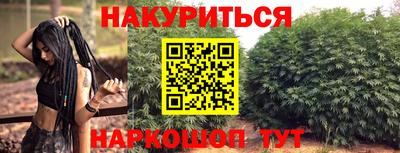 сатива Кингисепп