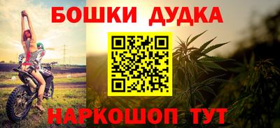 сатива Кингисепп