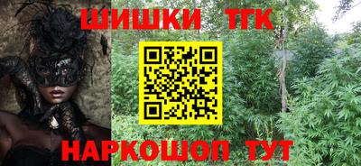 сатива Кингисепп