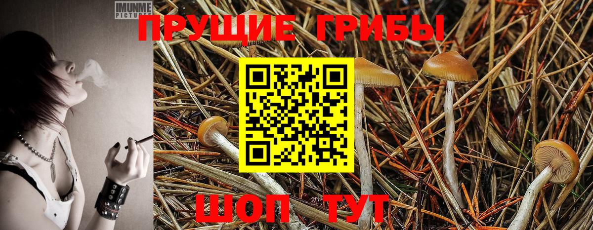 Псилоцибиновые грибы Magic Shrooms Ликино-Дулёво